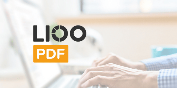 L1OO PDF Logo