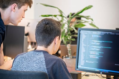 Employees developing software