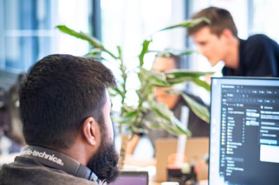 Employees in software development